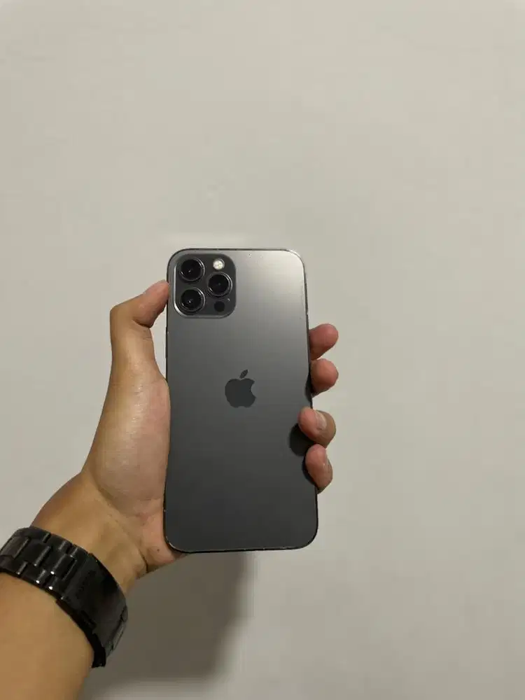 Iphone 12 promax 256