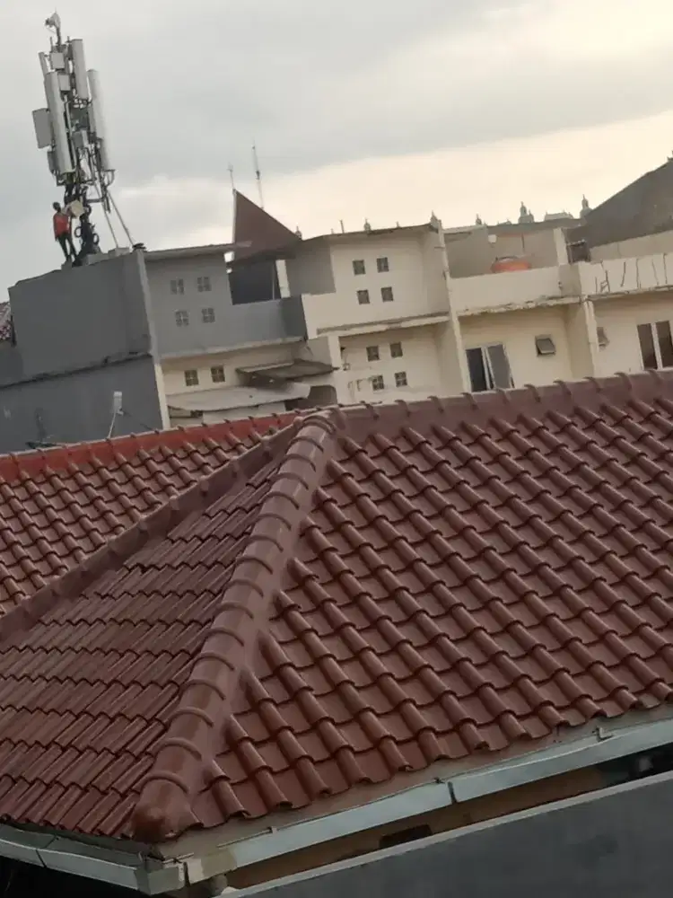 TukanG renovasi atap rmh bocor
