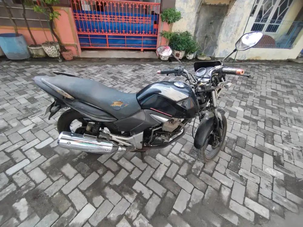 Tiger revo tahun tua