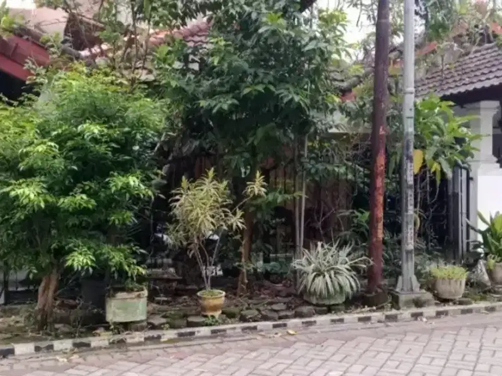 Rumah Rungkut Terawat Strategis dekat UPN dan MERR