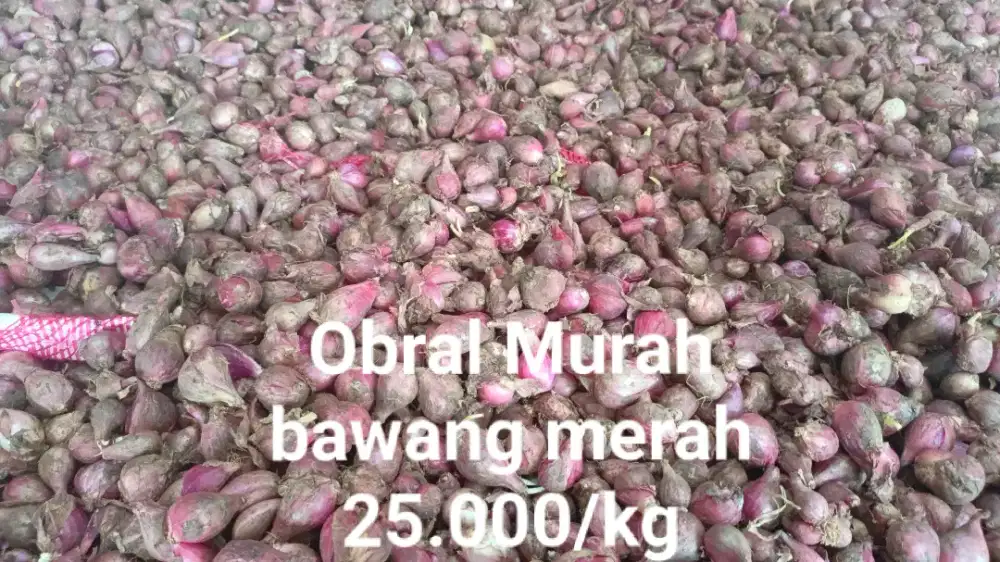 OBRAL BAWANG MERAH