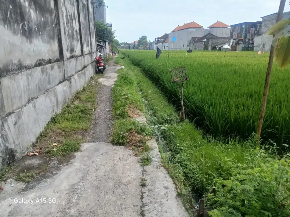 Tanah Kavling Sewa Pura Demak Dekat Jalan Utama