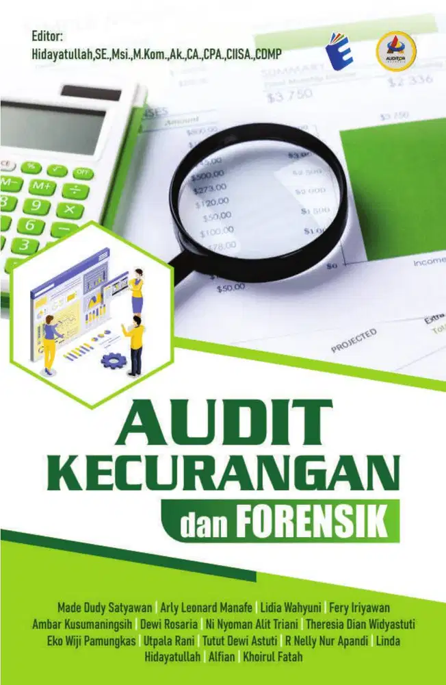 Akuntan publik auditor independen spesialis crime case di Lombok