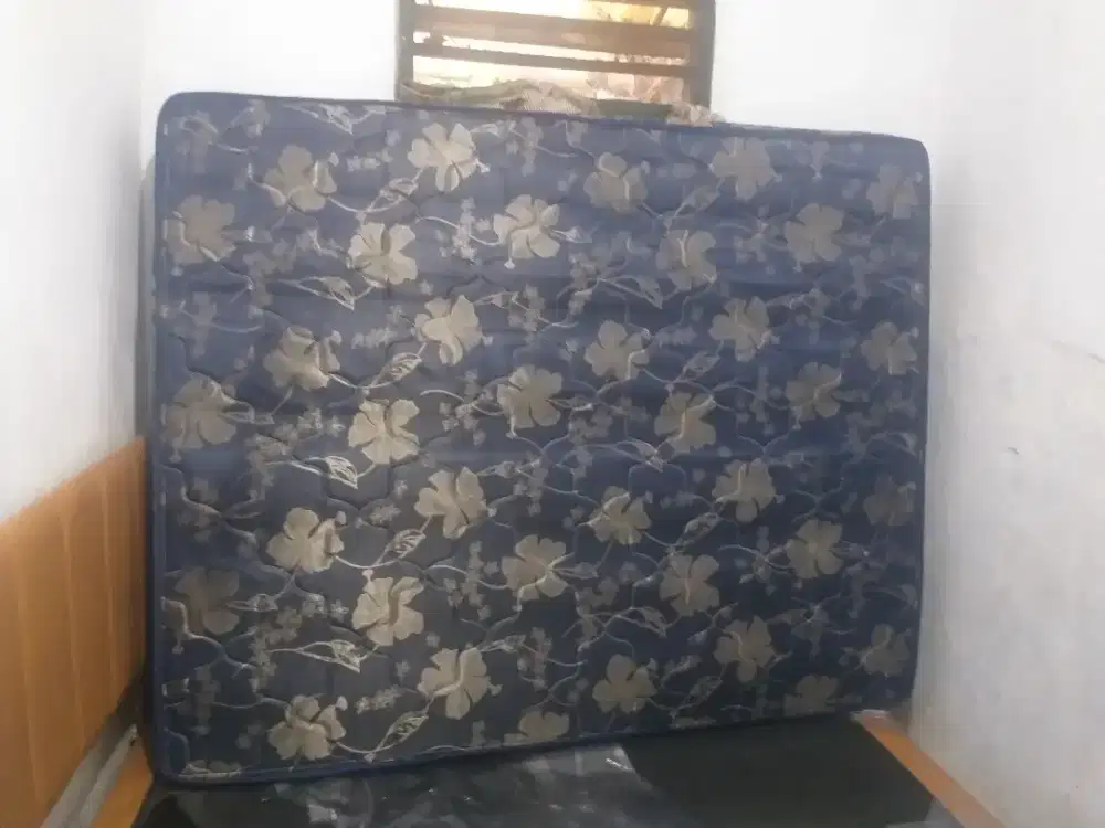 Jual Kasur Bigland 180x200