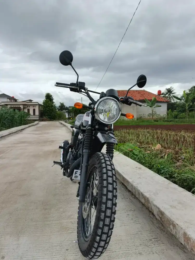 Kawasaki W175 Black 2024