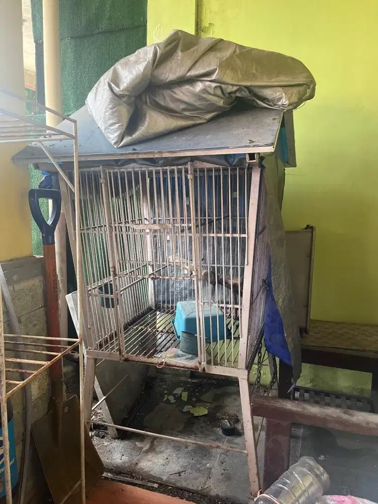 Kandang burung (bekas)