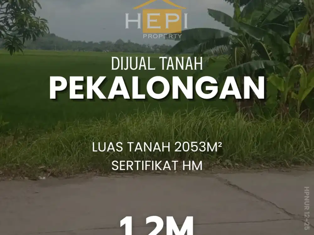 Dijual Tanah di Jalan Raya Sragi-Kesesi Pekalongan