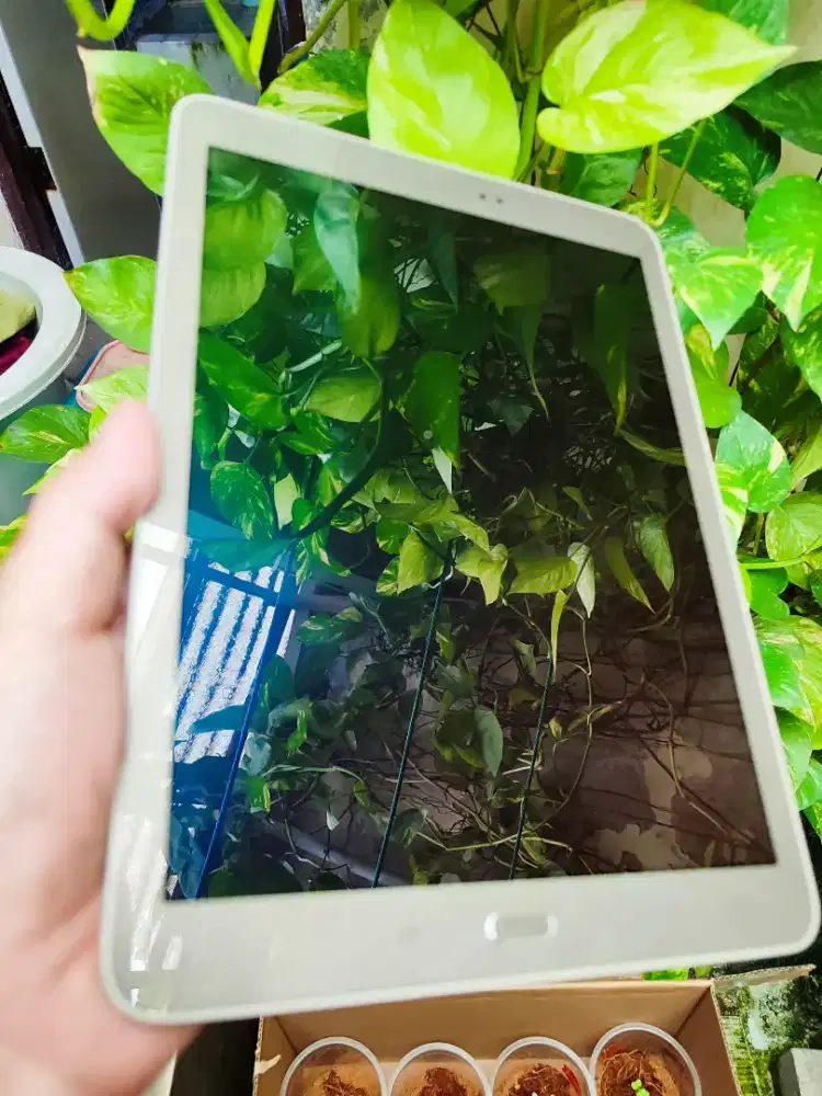 Samsung Tab S2 9,7 inch