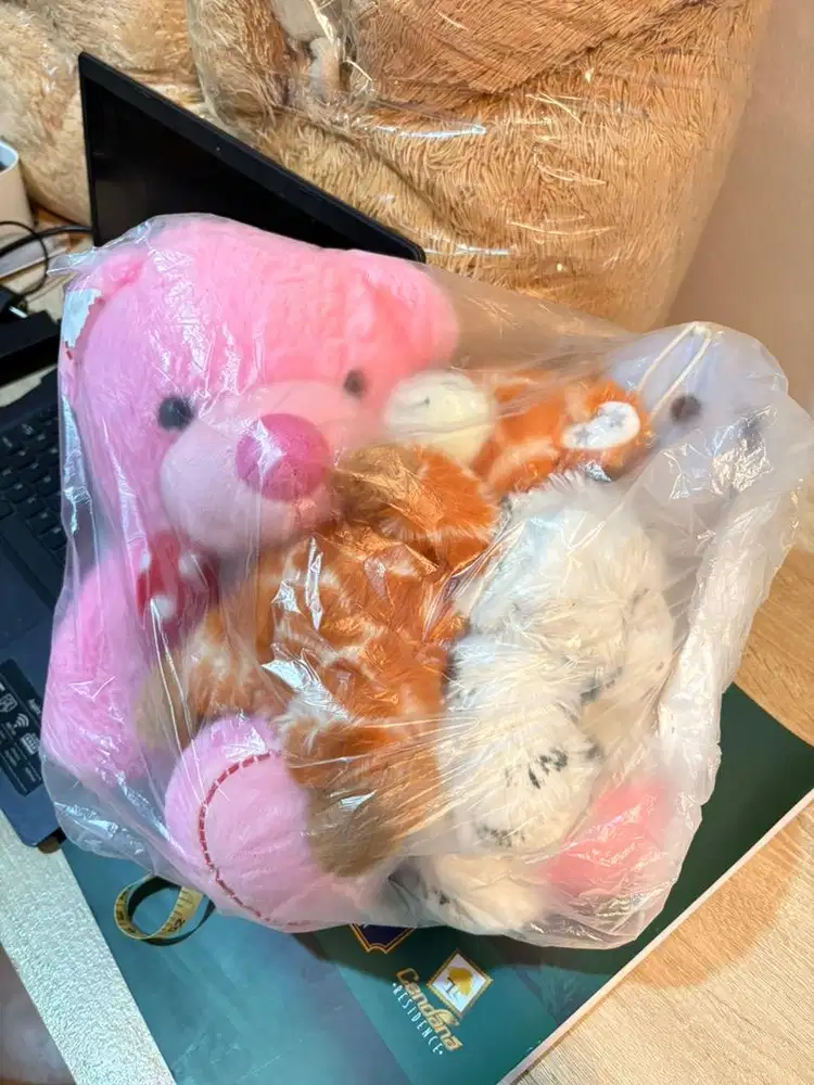 65rb dapat 4 boneka (take all)