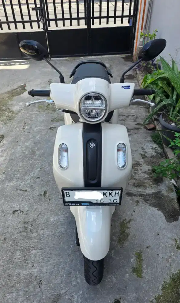 Fazzio Hybrid 2025 Neo