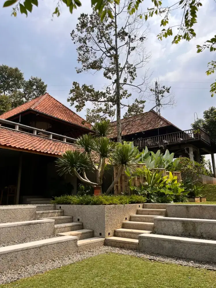 NEED FOR JOB caffe dan resto