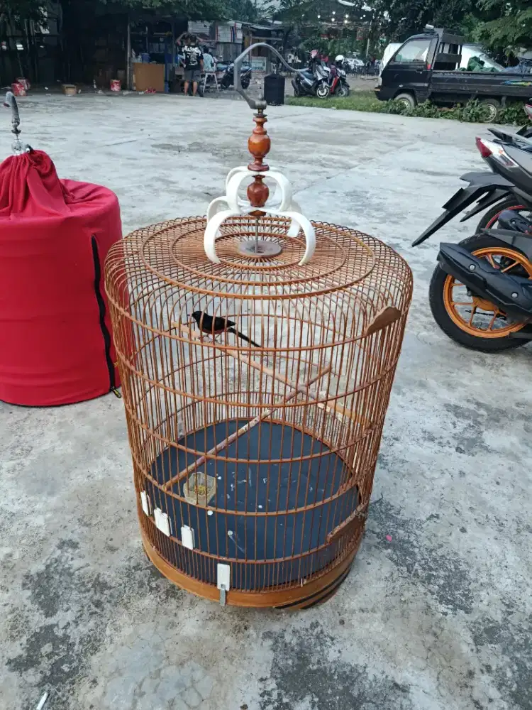 Kandang Murai No. 2 Berikut Krodong