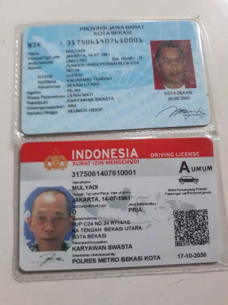 saya sedang mencari pekerjaan sebagai tukang kebun atau apa saja