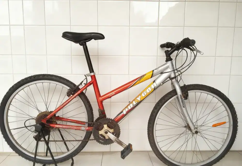 Sepeda gunung MTB polygon Monarch ladys