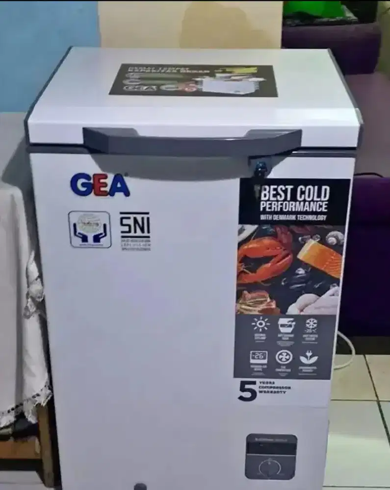 Freezer box GEA 100L