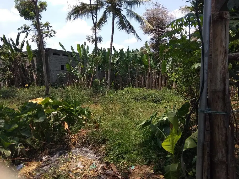 DIJUAL TANAH PEKARANGAN di Pucangsongo Pakis, Kabupaten Malang