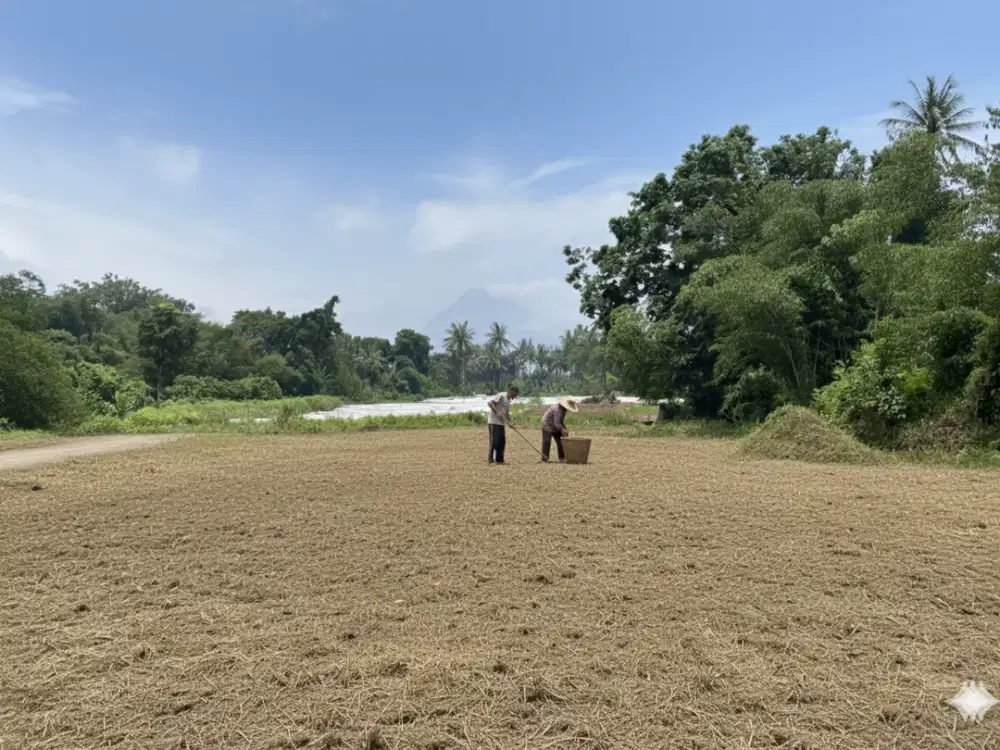 Tanah Siap AJB Utara RS Panti Nughroho - 2 Jt-an/m2 (Nego)