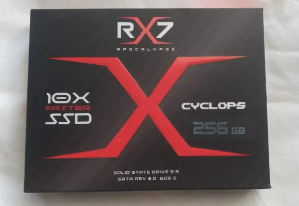 SSD RX 7 256 GB WINDOWS 11 PRO 26H1