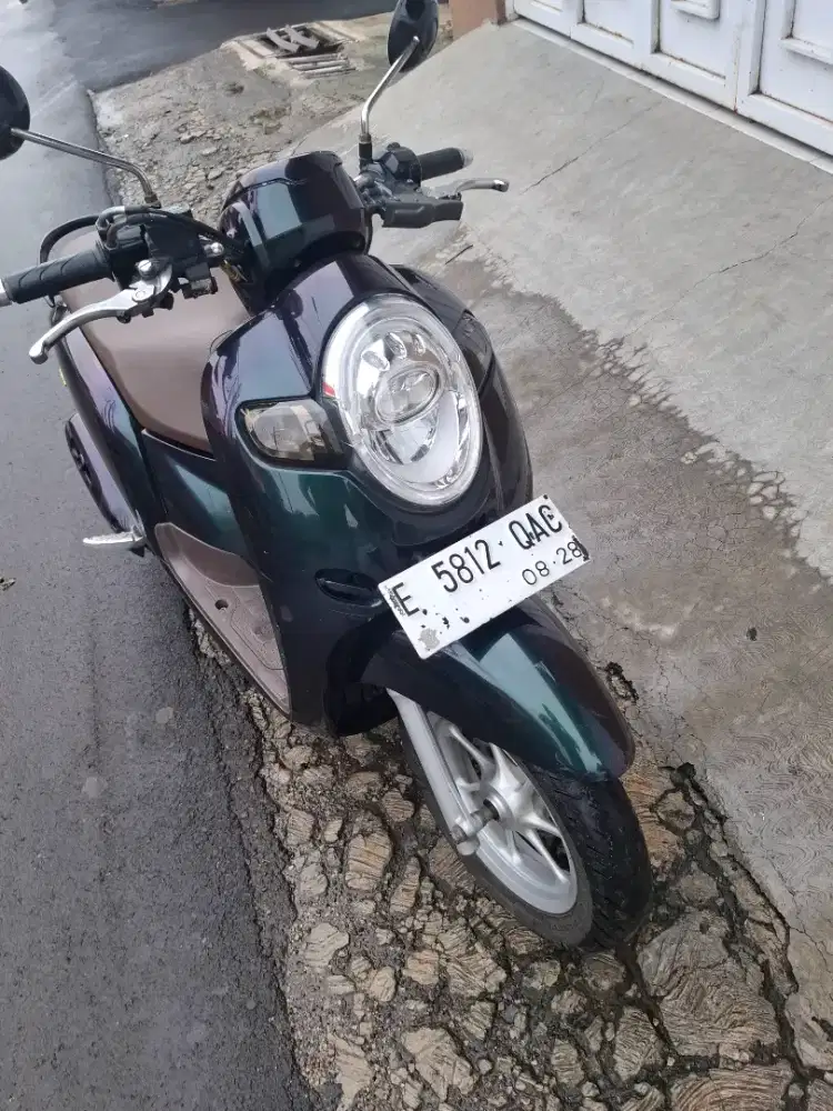 Honda Scoopy Donat