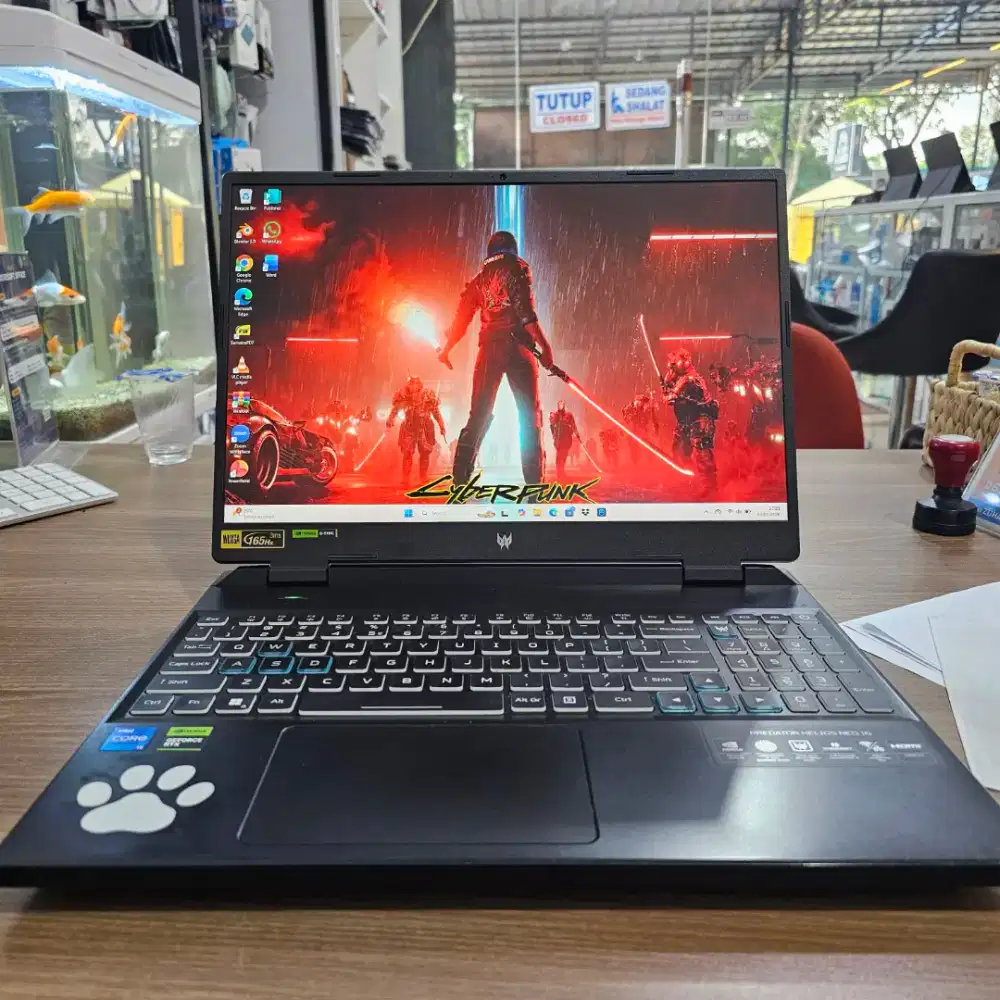 Acer Predator Helios Neo 6