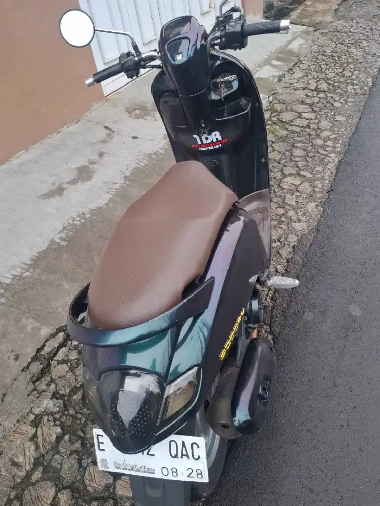 Honda Sccopy Reapaint Bunglon