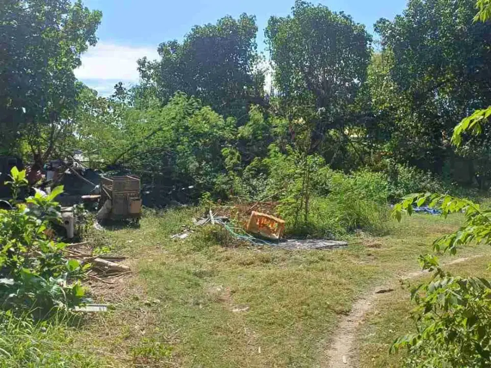 Tanah Langka Jalan Utama Pulau Serangan Denpasar