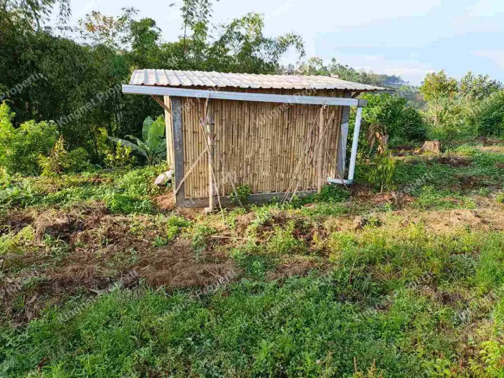 Tanah murah pinggir jalan utama poncokusumo malang