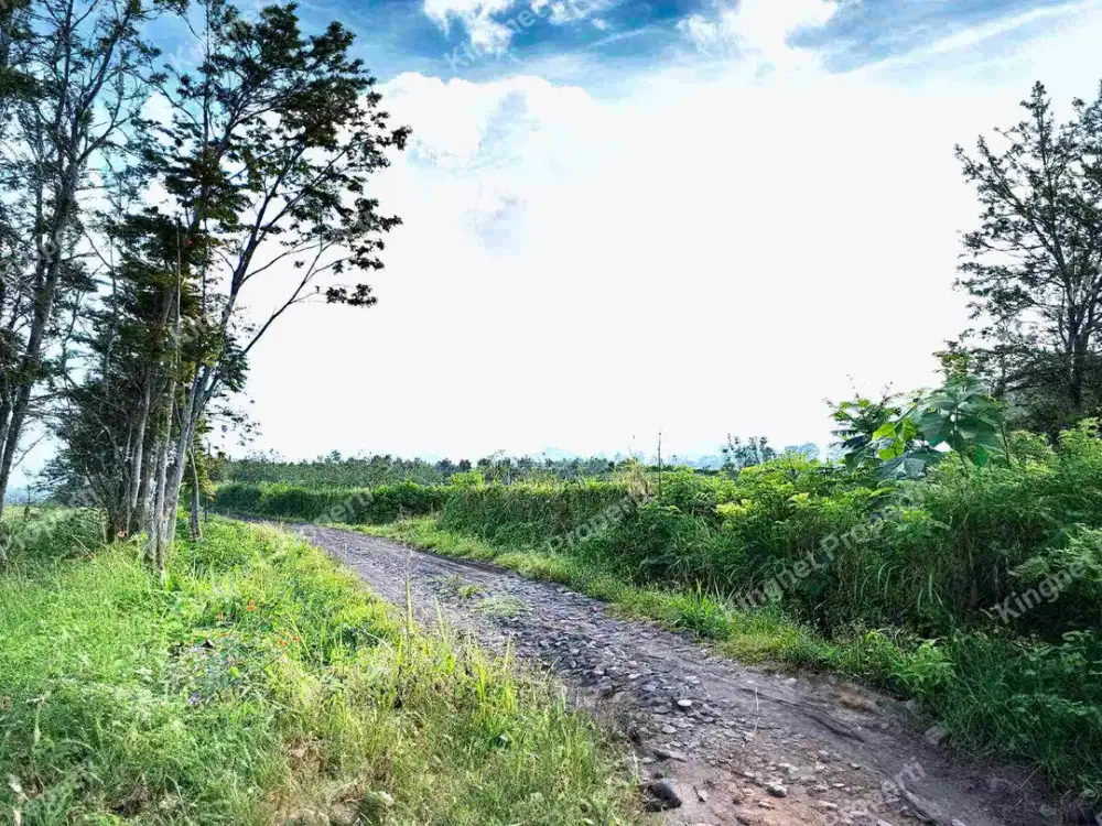 Tanah murah view bagus poncokusumo malang