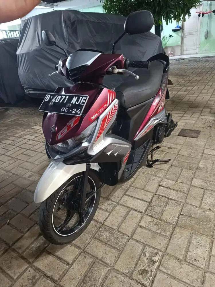 Xeon gt sehat murah