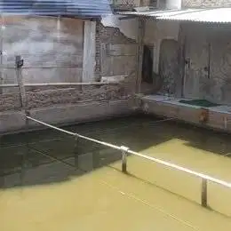 Kolam Pemancingan Aktif