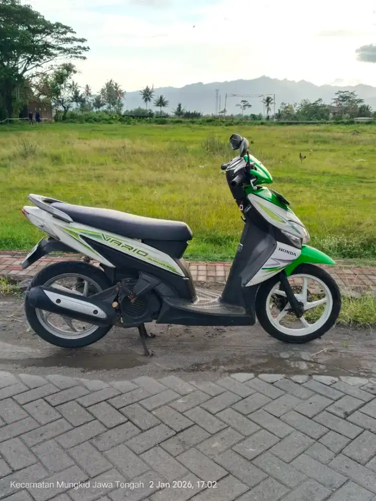 Vario 110 aa mgl