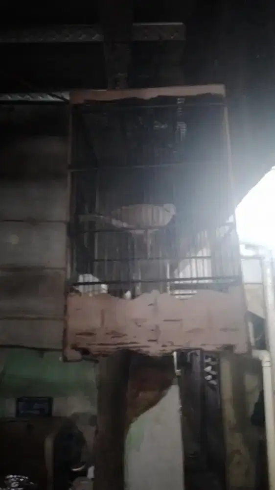 Yo bosku puter pelung nya