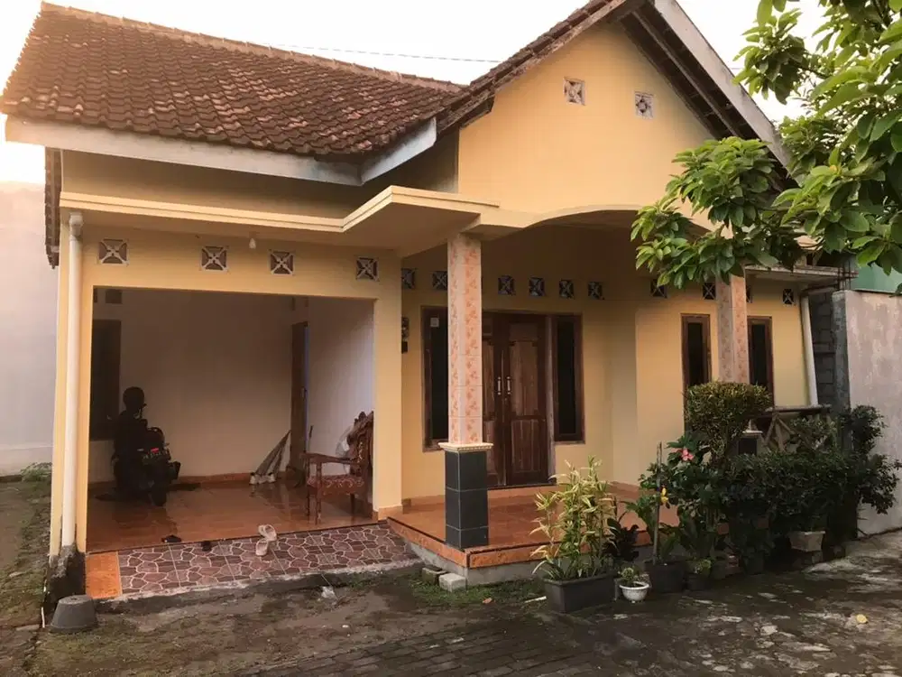 Dikontrakkan Rumah Murah Wedomartani 12,5 Jt/Tahun Nego