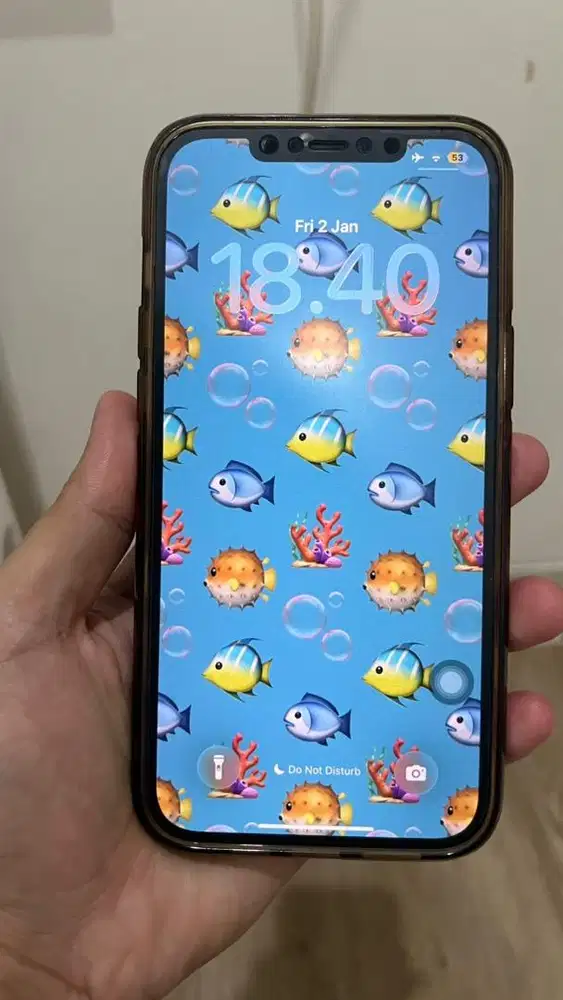 Iphone 12 Promax 256gb ibox