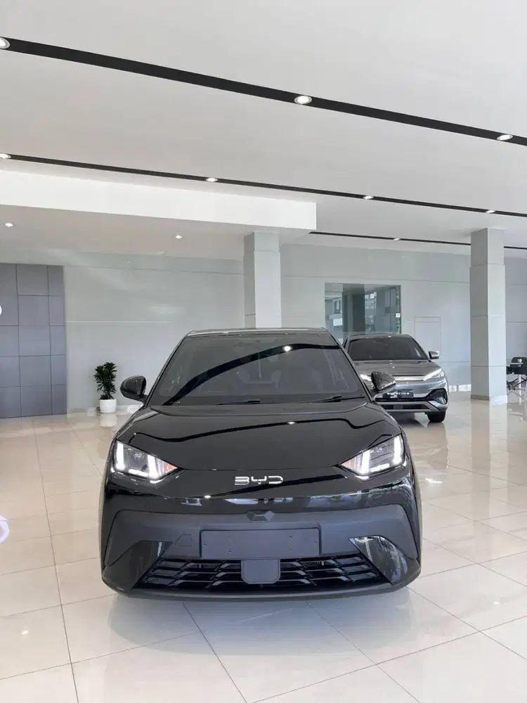 BYD ATTO 1 FRESH CHAT AJA