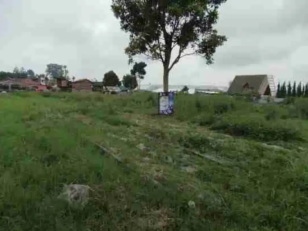 dijual tanah cocok untuk vila atau berkebun di tugu mukti cisarua lembang