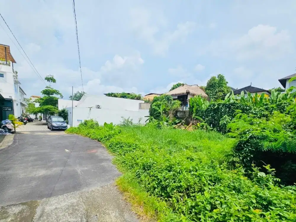 Tanah padonan canggu