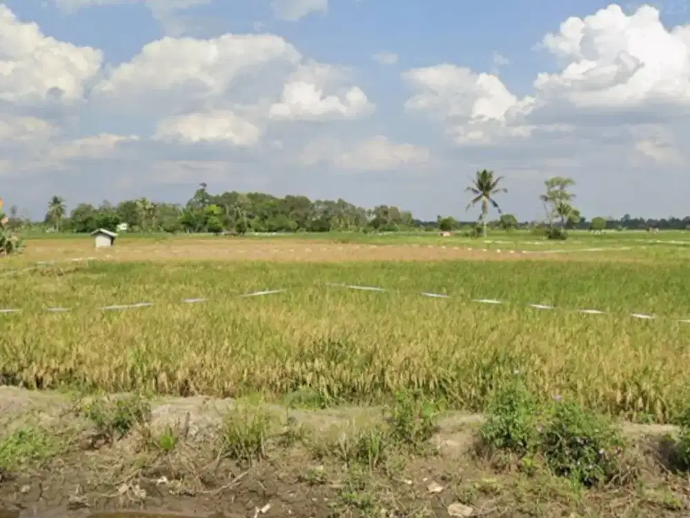 Dijual Tanah Sawah