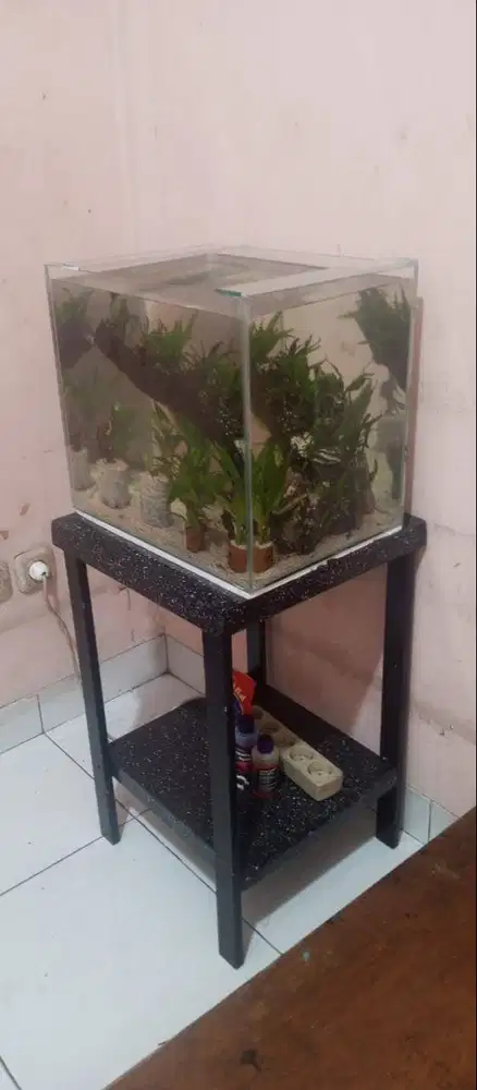 aquascape 40x30x35 dan meja