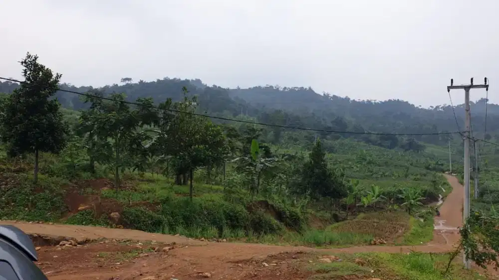 DI JUAL TANAH KEBUN AREA BOGOR  MURAH