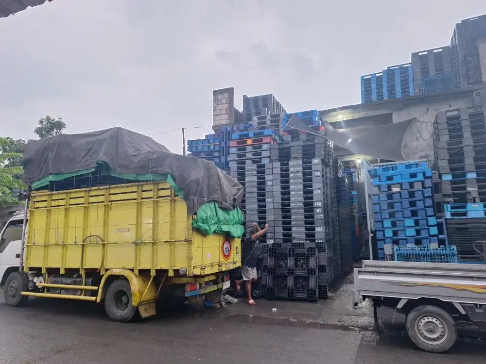 Pallet Plastik Second Like New