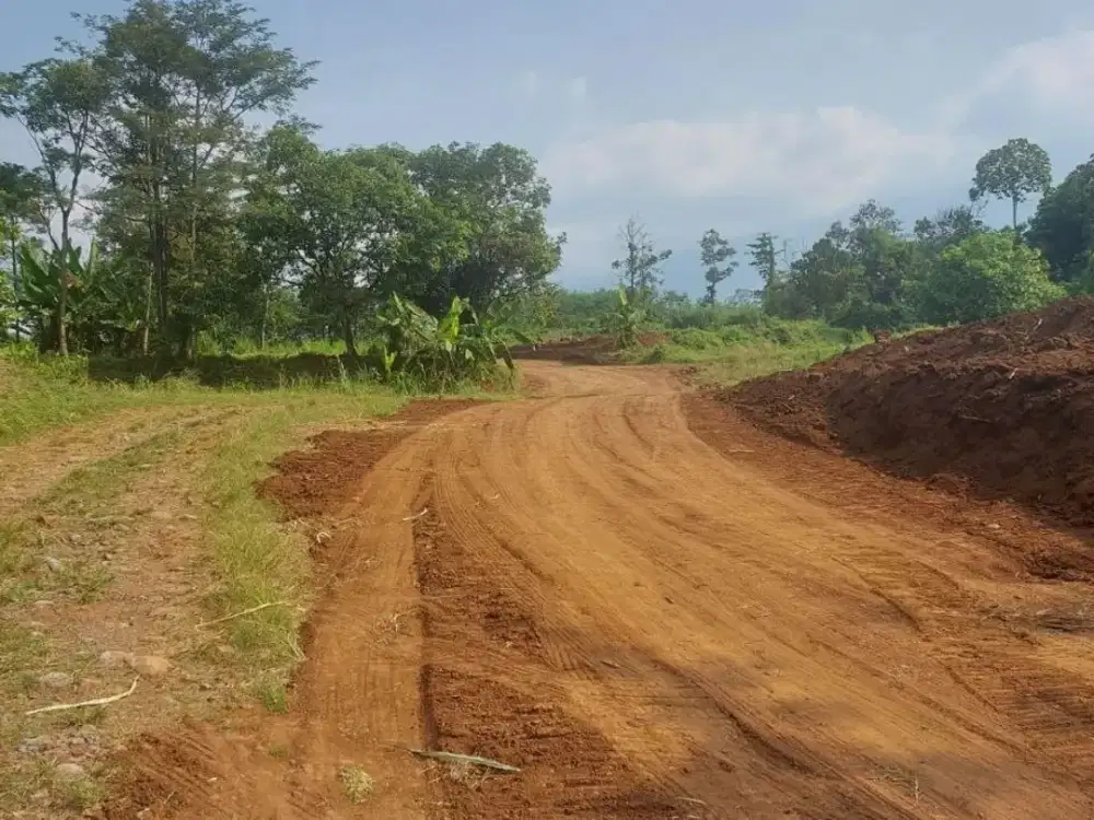 Dijual Tanah Uruk Gunting Sukorejo Pasuruan