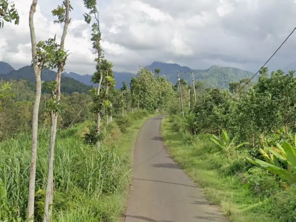 Dijual Tanah Kebun Wonosalam Jombang