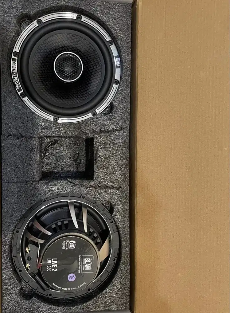 BLAM LIVE 2 LW165C set speaker koaksial audio elektrical