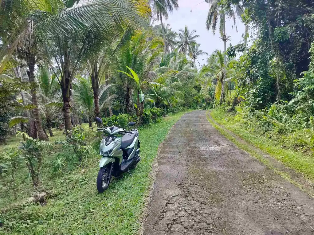 jual tanah murah penebel rejasa.