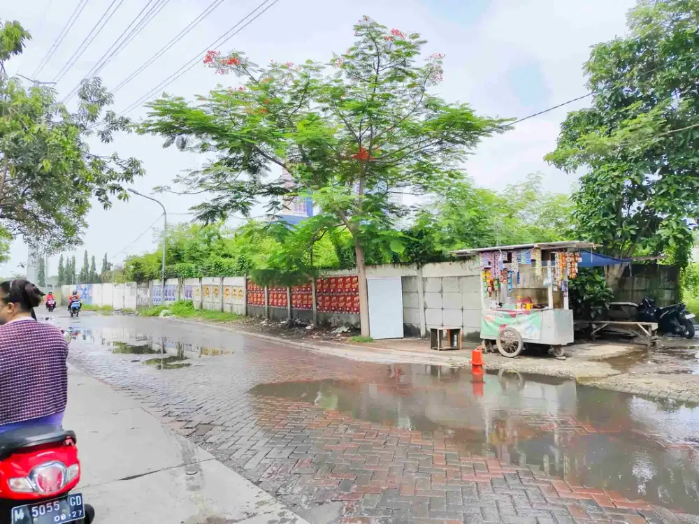 Tanah Hook Urukan Padat Nol Jl Ry Kejawen Putih Mulyorejo Surabaya dekat Pakuwon City Mall & Kampus ITS. Cocok Untuk Investasi&Aneka Usaha : Minimarket, Kos, Bengkel, Salon/Spa dll