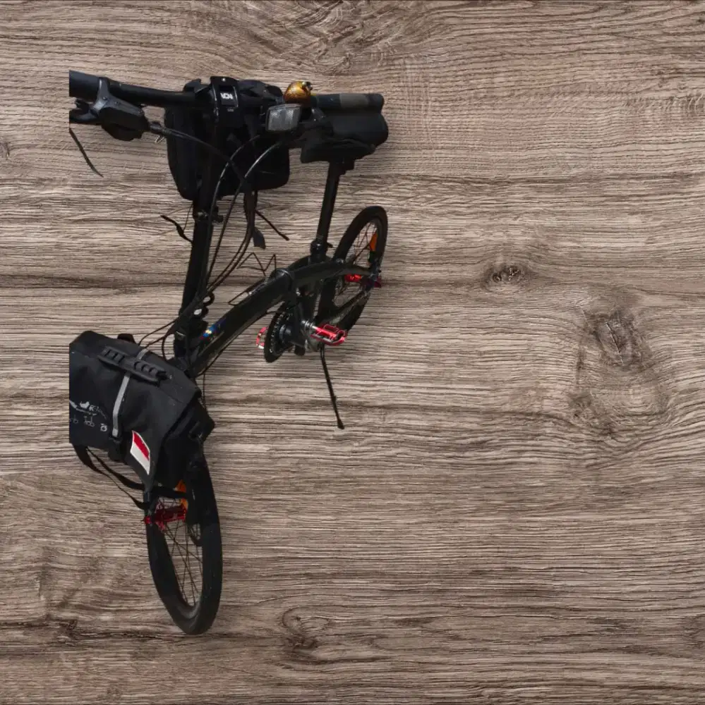 Ecosmo Jamselinas 9 Speed Limited Edition