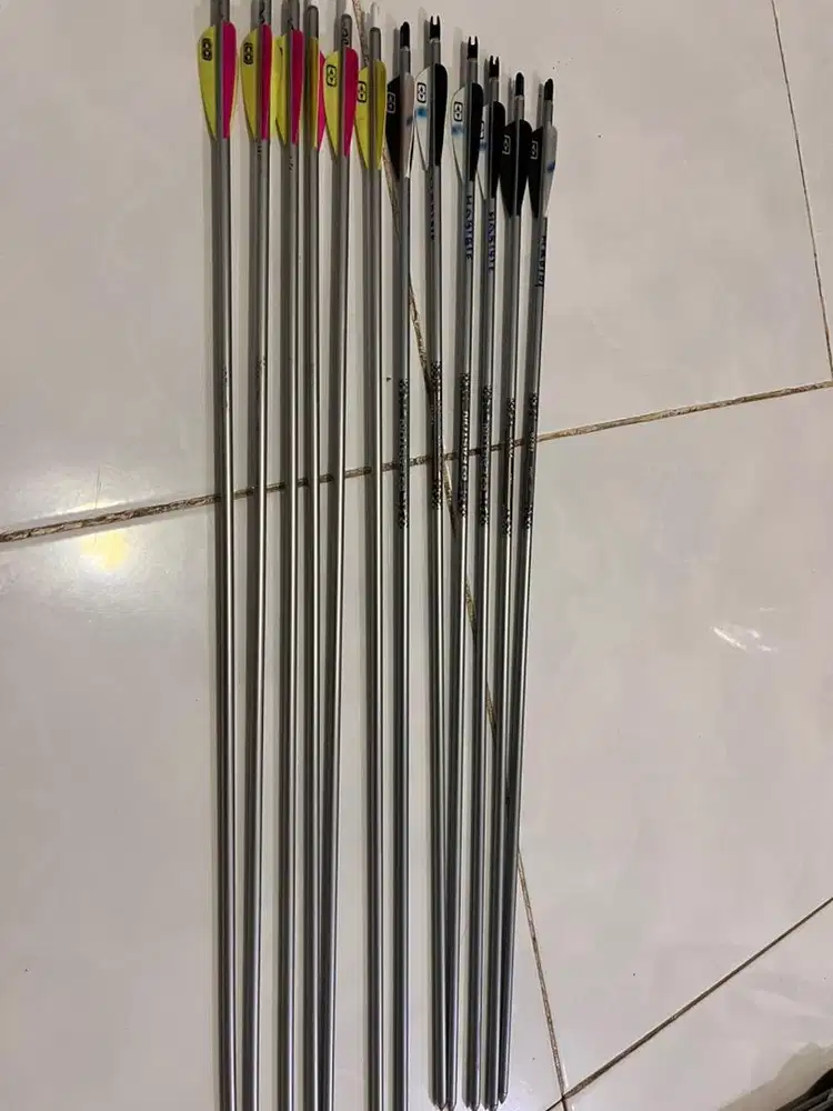 Anak panah easton platinum xx75 1616