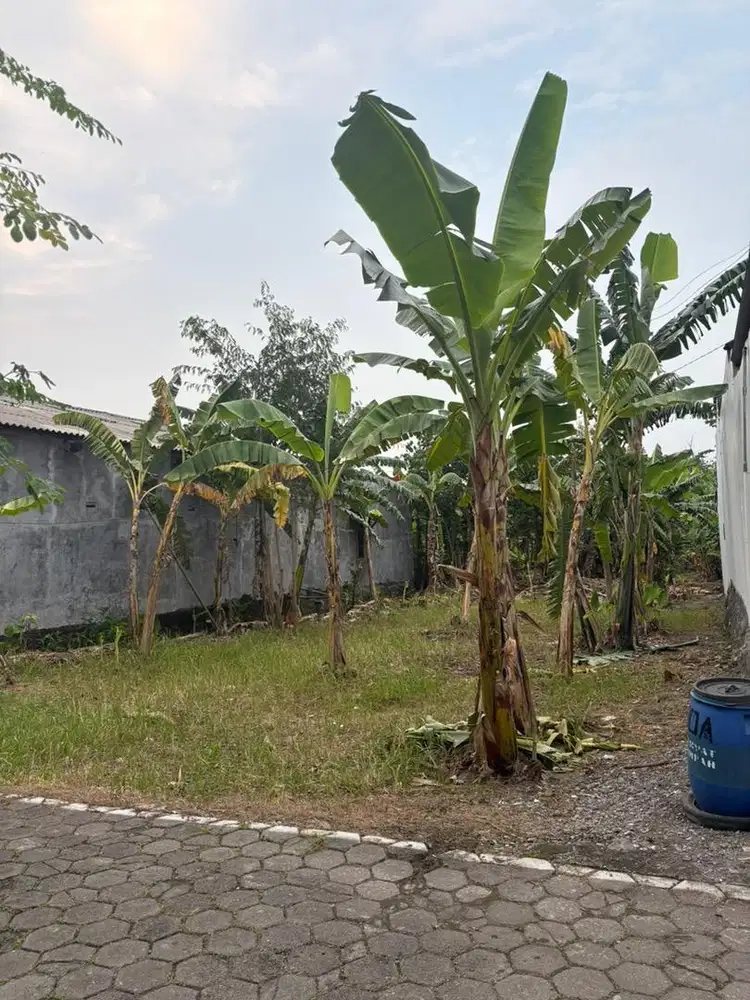 Dijual Tanah Siap Bangun Belakang Hotel Horison Nindya