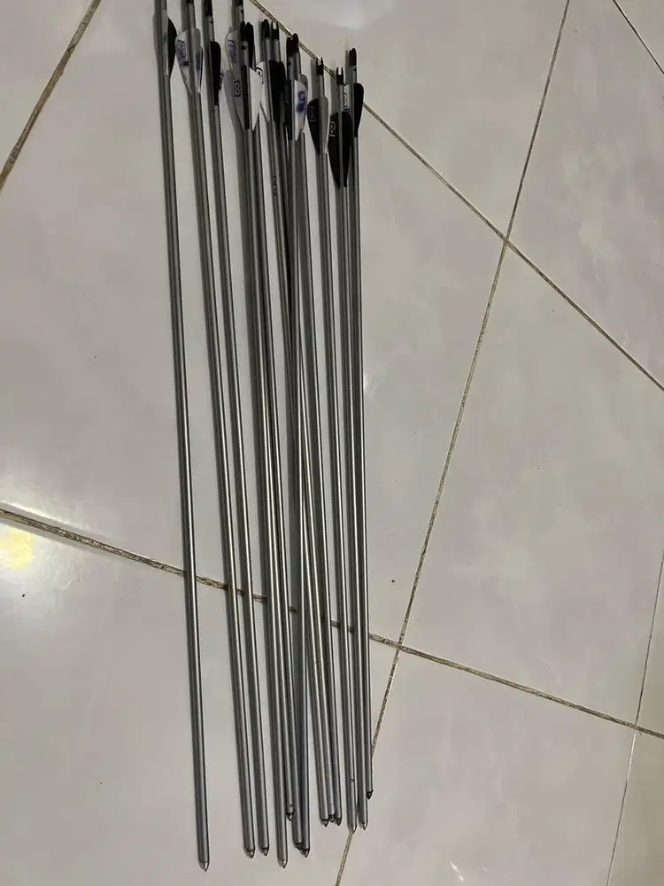 Anak panah easton platinum 1516